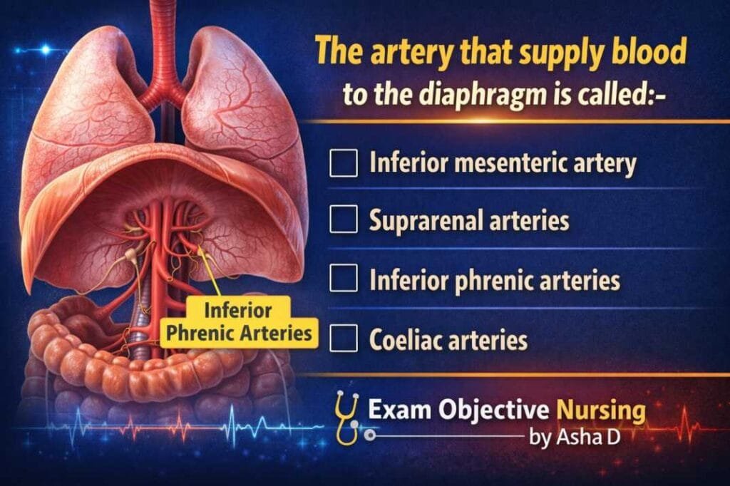 Digital illustration of the diaphragm with inferior phrenic arteries highlighted, showing the MCQ question: 'The artery that supply blood to the diaphragm is called:- (a) Inferior mesenteric artery (b) Suprarenal arteries (c) Inferior phrenic arteries (d) Coeliac arteries', branded Exam Objective Nursing by Asha D.